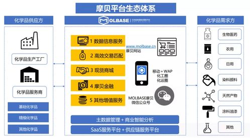 中国化工企业管理协会数字化专委会新春座谈召开，摩贝斩获多项授牌引领行业数字化升级