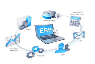 ERP系统 企业管理的战略中枢与实施关键